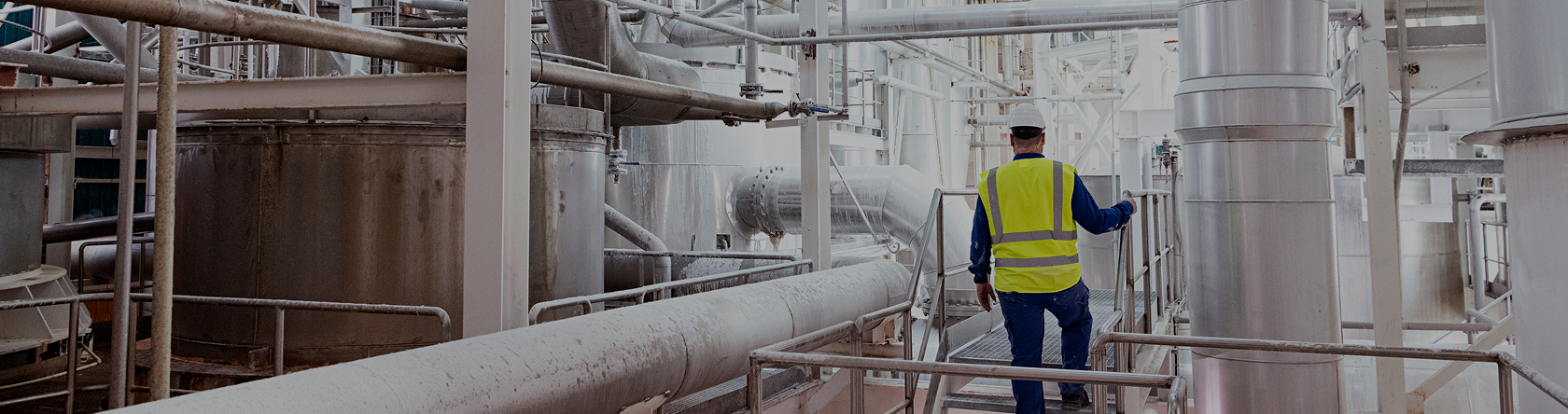 Foto de los minerales